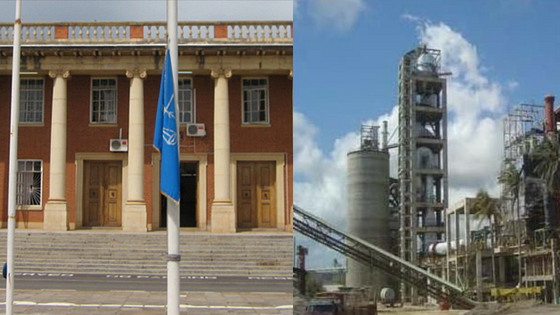 Portland Cement Zambia Case